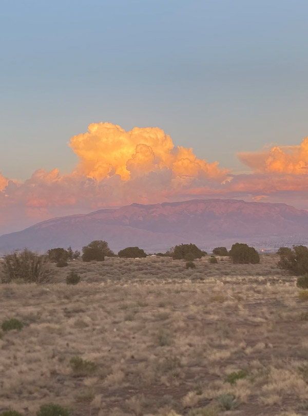 Albuquerque community mental health and recovery services