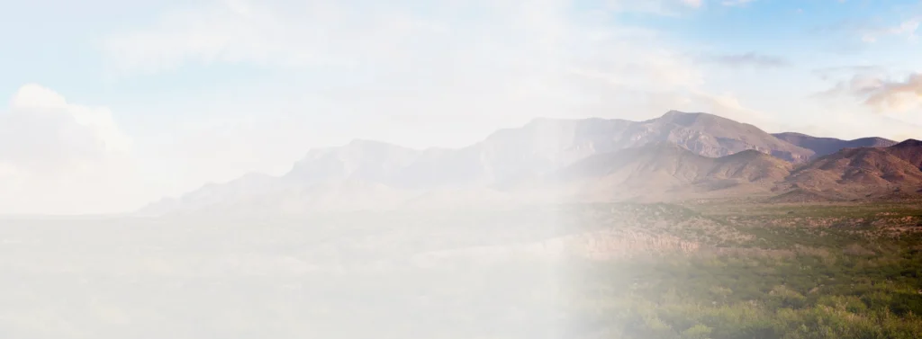 background Lp